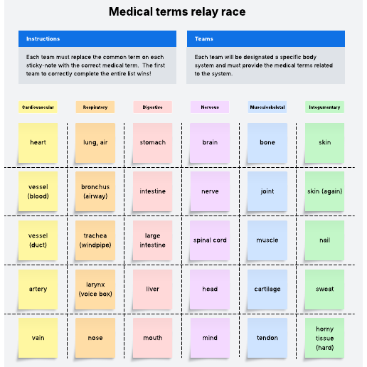 Go to Medical terms relay race template